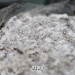 All-in-one Mushroom Grow Kit 1KG Grain Manure Vermiculite