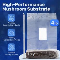 All-in-one Mushroom Grow Kit Includes Inflatable Monotub, 2lb Sterilized Grain Bag Injection Port, 4lb CVG Bulk Substrate Bag