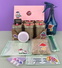 All-in-one Mushroom Grow Kit Super Easy DIY Mushroom Kit (6 PF Tek Jars)