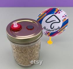 All-in-one Mushroom Grow Kit Super Easy DIY Mushroom Kit (6 PF Tek Jars)