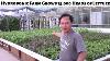 Amazing Hydroponic Greenhouse Farm Grows 15 000 Heads Of Lettuce