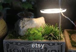Angel Three Ring Grow Light DC5V USB Phytolamp For Plants Led Full Spectrum Lamp For Indoor Plant