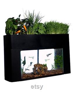 AquaSprouts Aquaponics garden