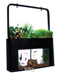 AquaSprouts Aquaponics garden