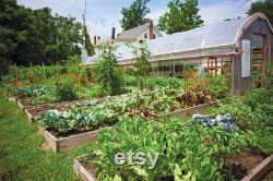 Aquaponics Systems vertical and horizontal