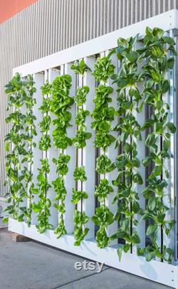 Aquaponics Systems vertical and horizontal