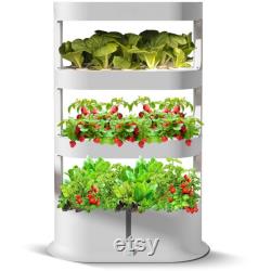 Automated LED Hydroponic Home Garden 3 Tier 48 Sites