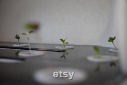 Automated LED Hydroponic Home Garden 72 Sites 85 Nursery Sites Pro Edition