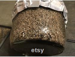 Automated MushroomCube 2 Tote Mushroom Growing Kit with 12 PFTek Substrate Jars