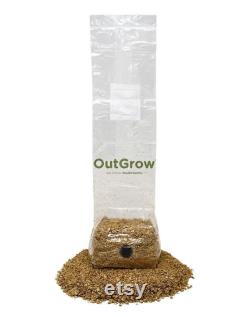 BRF BAGS Brown Rice Flour Based Mushroom Substrate in Grow Bag