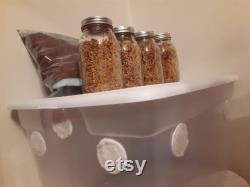 BULK Mushroom grow kit monotub 60qt MONO 4qt Sterile Grain Spawn 2kg Coco Coir, Filtered Vents, Easy Beginners High Yeids, Reusable Simple