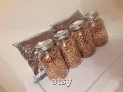 BULK Mushroom grow kit monotub 60qt MONO 4qt Sterile Grain Spawn 2kg Coco Coir, Filtered Vents, Easy Beginners High Yeids, Reusable Simple