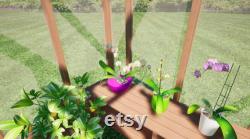 Backyard Cedar Greenhouse Kit 6' x 4' of Interior Growing Space Handmade In OR Includes all hardware for assembly