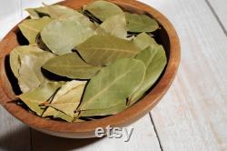 Bay Tree Organic Seeds, 10 Count Bay Tree Seeds, Home Gardening, High Germination, Easy to Grow, Non-GMO Heirloom