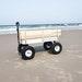 Beach Cart Beach Buggy Sand Buggy