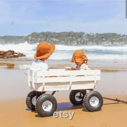 Beach Cart Beach Buggy Sand Buggy