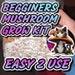 Beginners Mushroom Grow Kit 500g Ready2grow Organic Healthy Mushrooms At Home