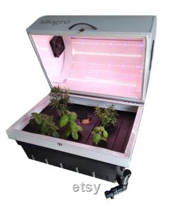 Best Automated Hydroponic Grow Box