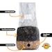 Bestseller All-in-1 Mushroom Grow Bag Sterilised And Simple To Use