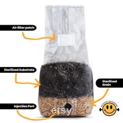 Bestseller ALL-IN-1 Mushroom Grow Bag Sterilised and Simple to Use