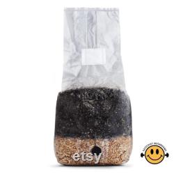 Bestseller ALL-IN-1 Mushroom Grow Bag Sterilised and Simple to Use