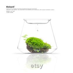 Bio Bottles Emerald Garden Mini Desktop Terrarium (Bubble Cup Set) Wabi-Kusa
