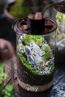 Bio Bottles Emerald Garden Mini Desktop Terrarium (Cylindrical)