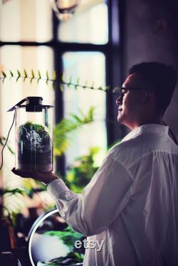 Bio Bottles Emerald Garden Mini Desktop Terrarium (Cylindrical)
