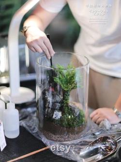 Bio Bottles Emerald Garden Mini Desktop Terrarium (Cylindrical)