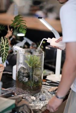 Bio Bottles Emerald Garden Mini Desktop Terrarium (Cylindrical)
