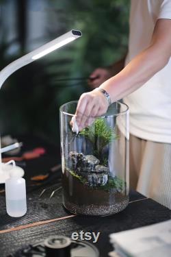 Bio Bottles Emerald Garden Mini Desktop Terrarium (Cylindrical)