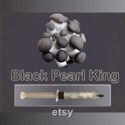 Black Pearl King Oyster Mushroom Liquid Culture