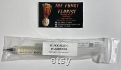 Black Reishi Ganoderma Sinense Liquid Culture Syringe 10ml