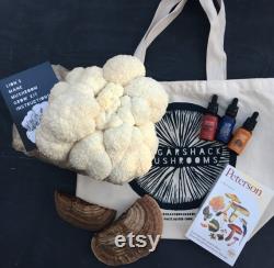 Blue Oyster OR Lion's Mane DIY mushroom grow kit, organic reishi turkey tail lions mane tinctures, Peterson guide, spore print tote bag gift
