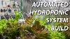 Build An Automated Hydroponic System
