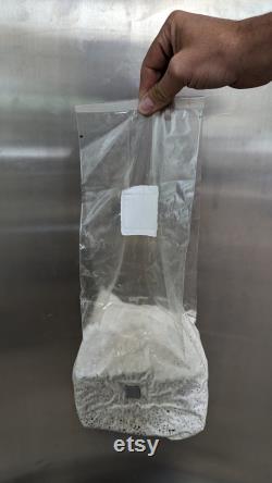 Bulk Sterilized Grain Spawn Bags. 3 lbs each with injection port. Milo (Sorghum)