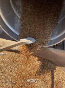 Bulk Sterilized Oat Grain Bags for Mushroom Growing
