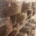 Bulk Sterilized Rye Grain (50)