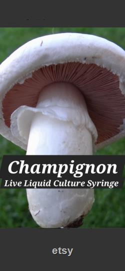 CHAMPIGNON Mushroom Liquid Culture Syringe