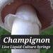 Champignon Mushroom Liquid Culture Syringe