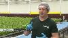 Canada S First Fully Automated Greenhouse Will Blow Your Mind Welcome To Haven Greens