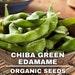 Chiba Green Edamame Organic Seeds , 50 Count Organic Soybeans Heirloom Seeds, Container Garden, For Garden And Pot, Open Pollination,