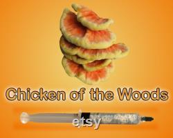 Chicken of the Woods Mushroom Liquid Culture