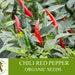 Chili Pepper Organic Seeds, 50 Count Very Hot Chili Pepper Seed, Real Seeds For Pot And Garden, Non-gmo Heirloom, Open Pollinated