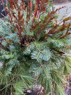 Christmas Greens Mixed Box of Cuttings Fresh Cut Greenery DIY Christmas Decorating Winter Container Balsam fir boughs