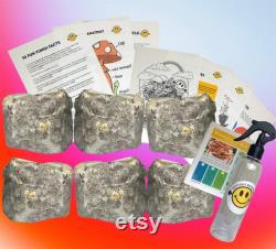 Classroom Mushroom Farm Kit Includes Teacher Resources