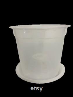 Clear Translucent Orchid Pots 17CM ( Optional Saucers )