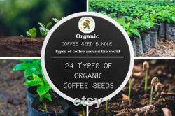 Coffee Tree Collection Organic Seeds, 240 Count Worldwide Coffee Variety Trees Seed Bundle, Build Your Own Garden, Pot and Garden, Non-GMO