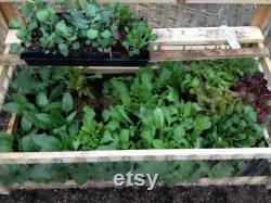 Cold Frame Ground Unit