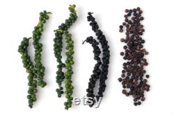 Colored Black Pepper Plant Organic Seeds, 25 Count Colored Black Pepper Plant Seed, Black Pepper Plant for Pot and Garden, Non-GMO-Heirloom
